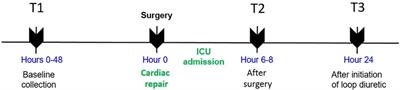 Activation of renal epithelial Na+ channels (ENaC) in infants with congenital heart disease